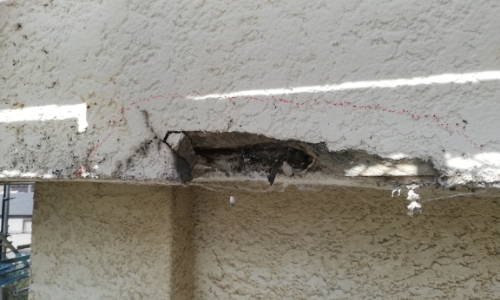 見過ごせない義務 建築基準法第12条点検とは?